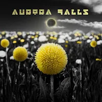 Aurora Falls